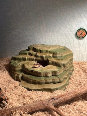 3D-DRUCK Terrarium  Terraristik Zubehör 