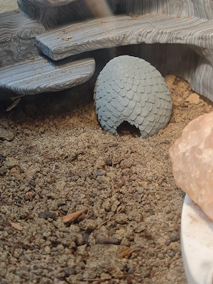 3D-DRUCK Terrarium  Terraristik Zubehör  Bild 5
