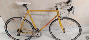 Fahrrad Wheeler 3100