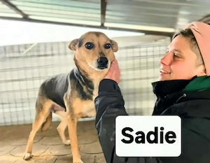 Sadie in Sascut - eine neugierige Entdeckerin