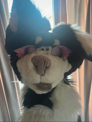 furry fursuit maske kopf hund Bild 3