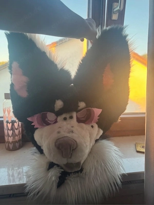 furry fursuit maske kopf hund Bild 2