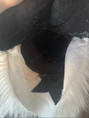 furry fursuit maske kopf hund Bild 4