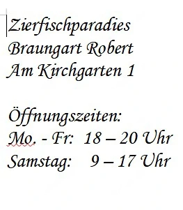 Schwertträger Tricolor Bild 3