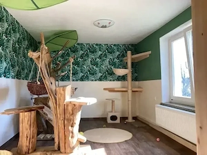 Katzenbetreuung , Katzenpension, Urlaubsbetreuung
