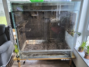 Terrarium aus Glas   ideal für Reptilienhalter