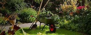 Biete Hausmeisterservice & Gartenpflege
