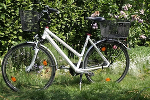 Damenfahrrad, Trekking Cityrad  