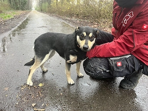 Nina, zzt. in Ungarn, ist freundlich und unkompliziert, ist im besten Alter 