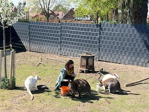Bennett Känguru Weibchen weiß und braun