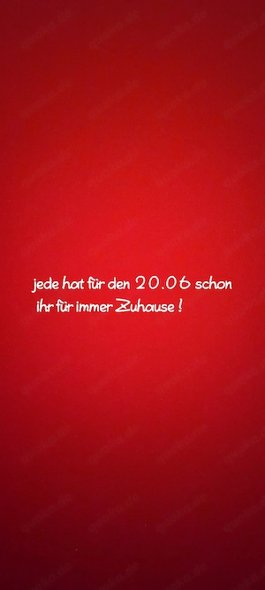  wunderschönes Kätzchen 