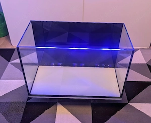 Aquarium 160l 80x40x50 10mm Glas  Poolbecken