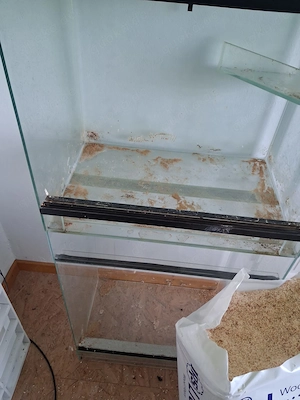 Glasterrarien gebraucht 