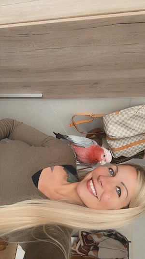 Rosa Kakadu Pärchen zu verkaufen Bild 4