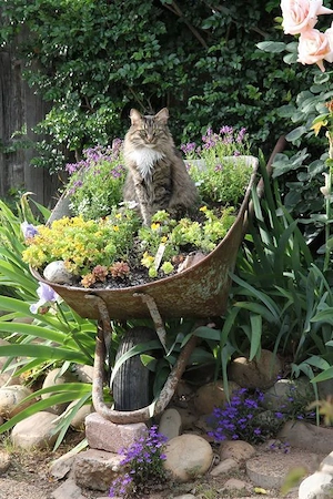 Biete Hilfe im Garten an