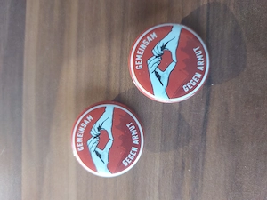 1. FC Nürnberg 1. FCN Pin Anstecker Limited Edition