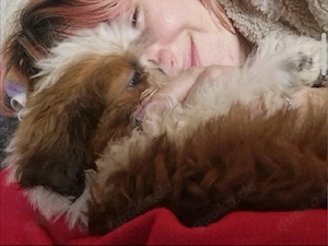 Kleine Diva mit zwei Zöpfen    