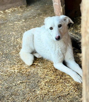 Maribel - aus Mangalia