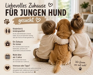    Liebevolles Zuhause für jungen Hund gesucht   