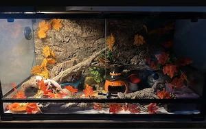 ReptiZoo Terrarium 90x45x45