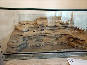 Terrarium mit Felswand (Eigenbau)