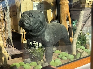 Deko Bully Hund XL Tierspende 