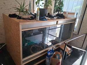 Verkaufe ein grosses Terrarium 