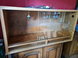 Holzterrarium 120 x 60 x 60 zu verkaufen