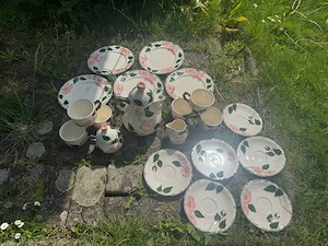 Original Villeroy & Boch Wild-Rose Kaffeeservice