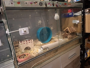Terrarium abzugeben 