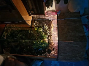 Verkaufe schönes großes Terrarium 