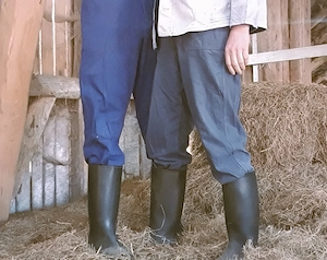 Bauernsohn sucht Landwirt