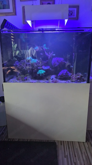 Meerwasseraquarium Komplettset 