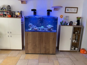 Meerwasseraquarium zu verkaufen