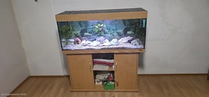 komplettes Aquarium 