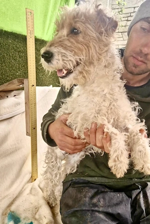 Abby versteht ihre kleine Welt nicht mehr Bild 7