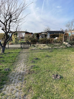    Garten zu vermieten Nähe Ackerstr. in Hoyerswerda     Bild 4