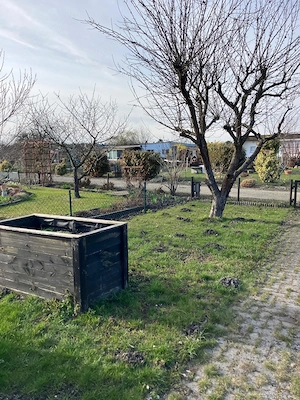    Garten zu vermieten Nähe Ackerstr. in Hoyerswerda     Bild 5
