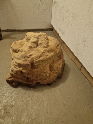 Große massive Reptilienhöhle Bild 2