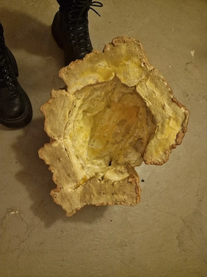 Große massive Reptilienhöhle