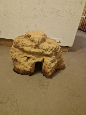 Große massive Reptilienhöhle Bild 3