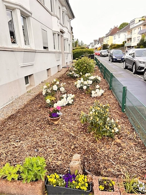 Kernsanierte Wohnung  Erstbezug Bild 9