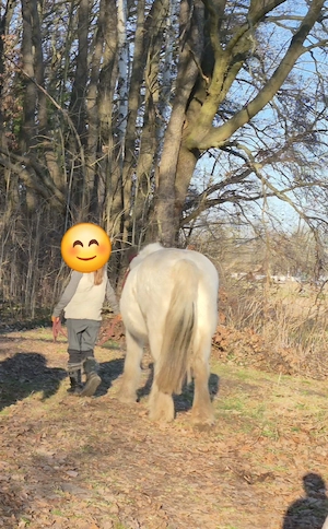 zeit in der Natur mit Pferden 