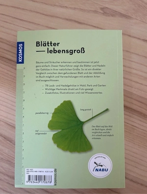 Bäume am Blatt erkennen