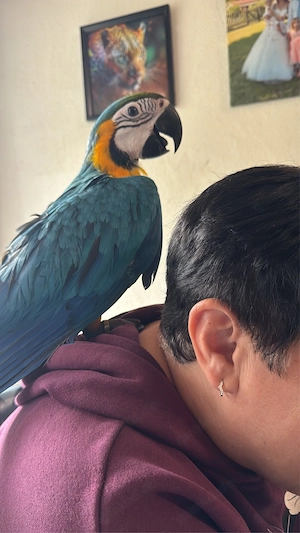 dringend neues zuhause gesucht 