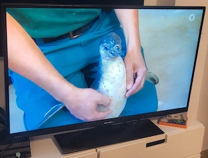Fernseher Grundig 40 GUB 9772   40 Zoll 4K Ultra HD Smart TV