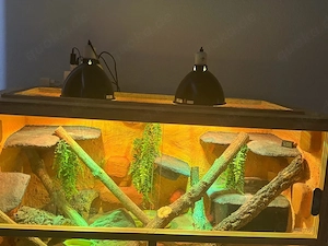 Holz Terrarium
