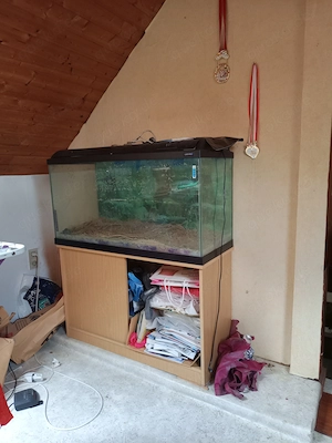 Aquarium mit dem Schrank