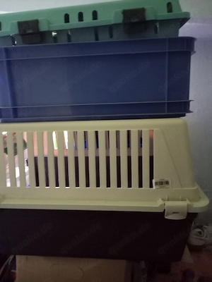 2 katzen trageboxen 