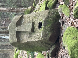 Gemeinsam den Tag genießen 